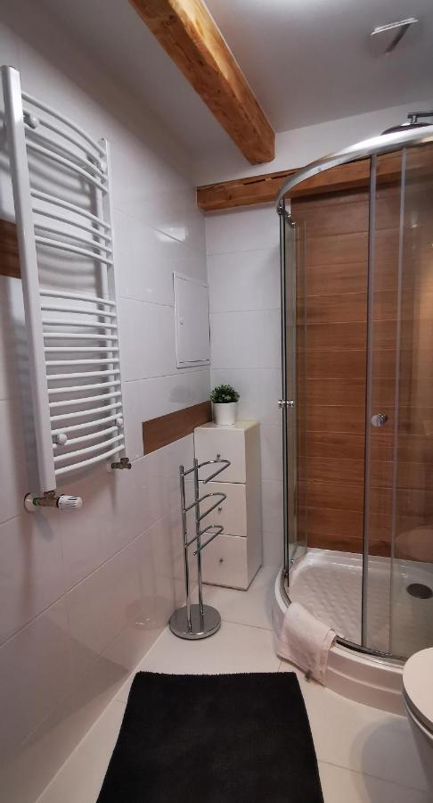 Klimatyczny Apartament Nr 8 Z Widokiem Na Gory Sowie Bielawa  Exterior photo